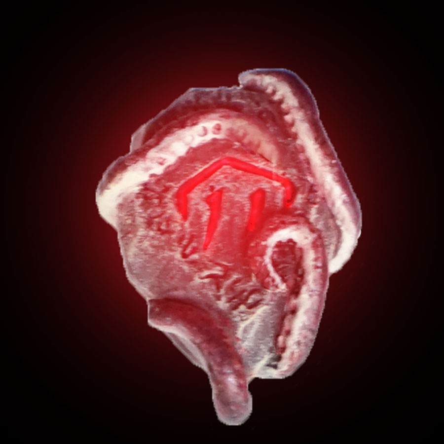 LED Eldritch Wall Ward