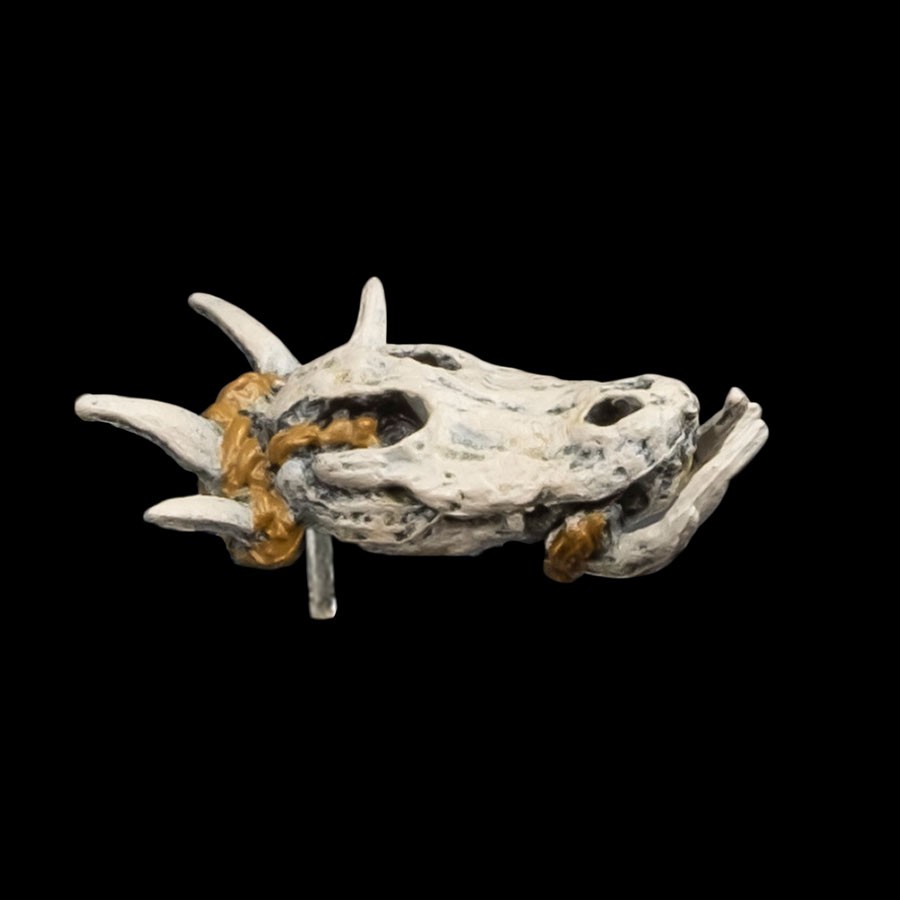 Gator Skull