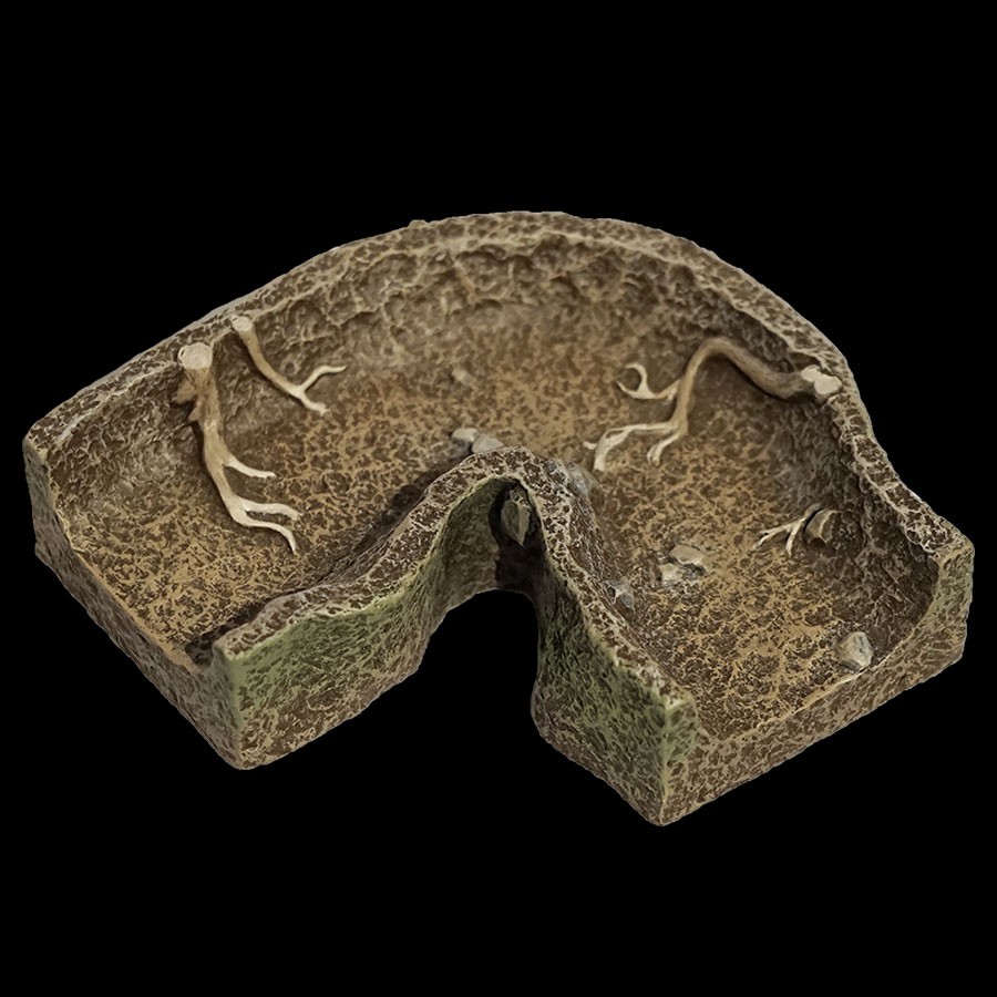 Wide Turn Burrow Tunnel