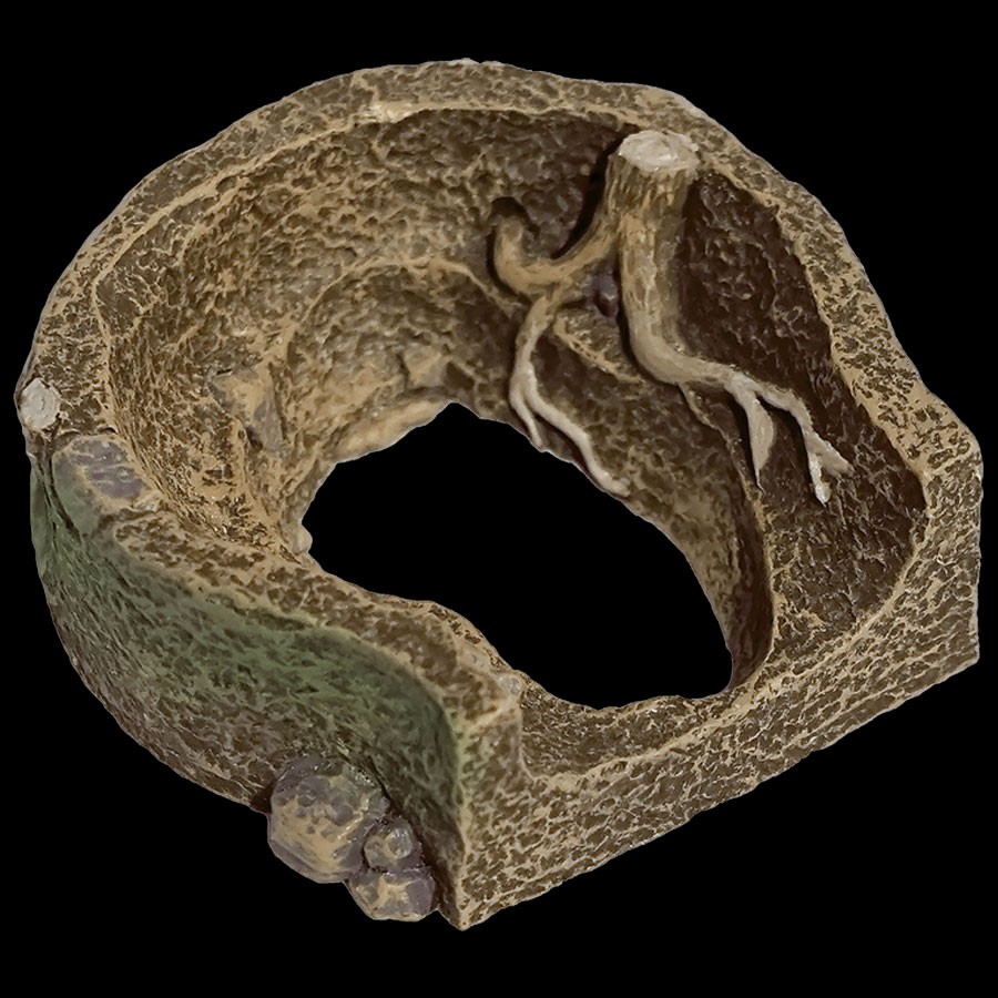 Dead End Burrow Chamber