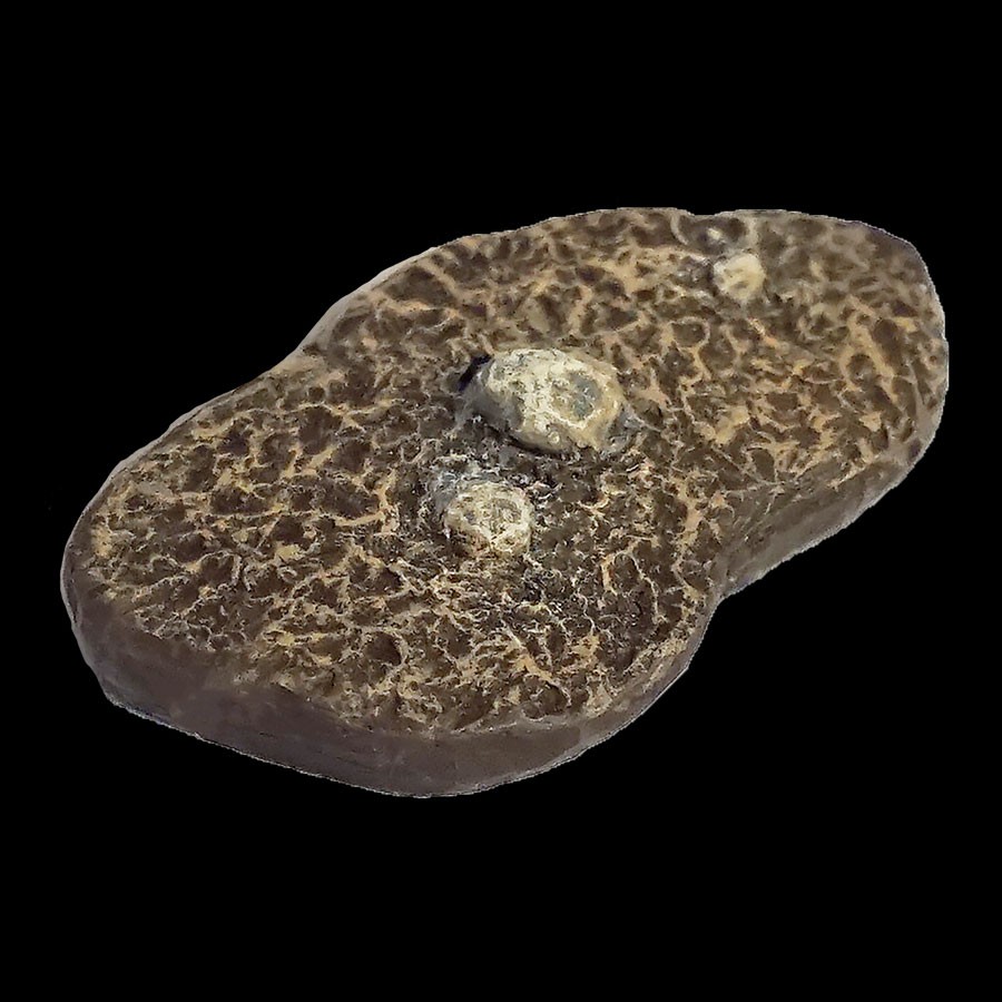 Dirt Floor - Burrow Insert