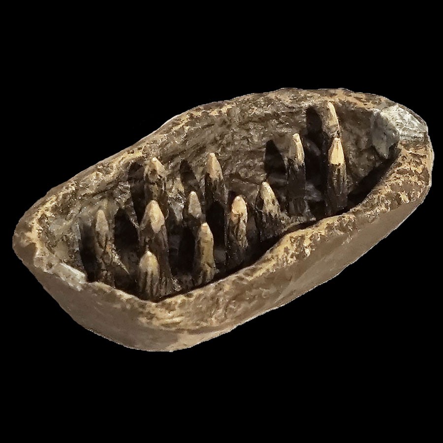 Spiked Floor - Burrow Insert