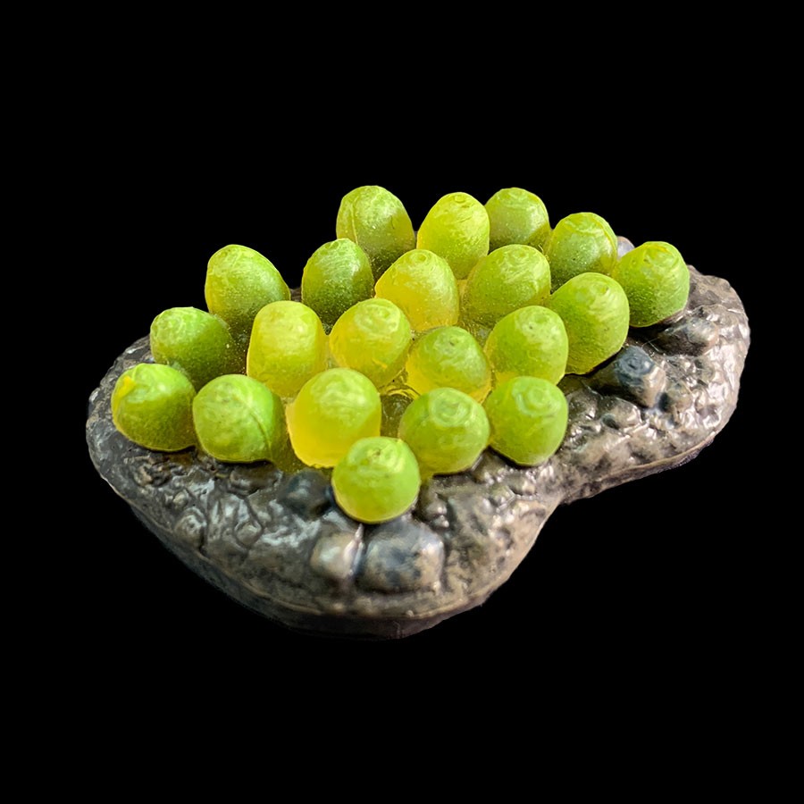 Egg Sacs - Burrow Insert