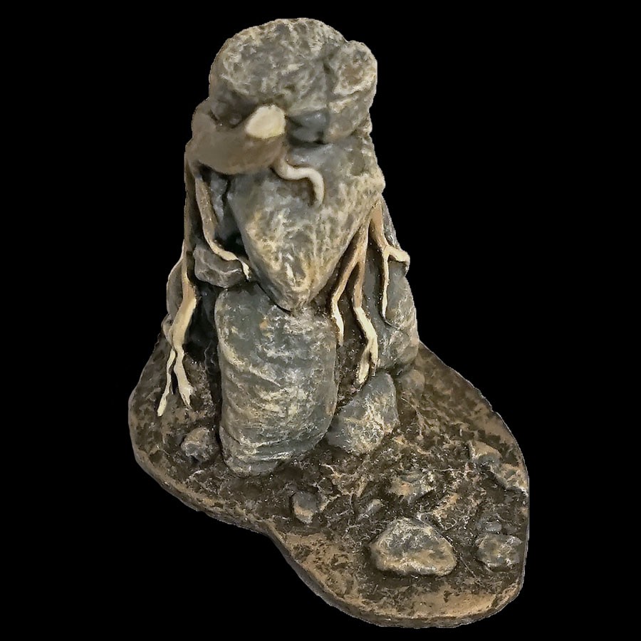 Rocky Pillar - Burrow Insert