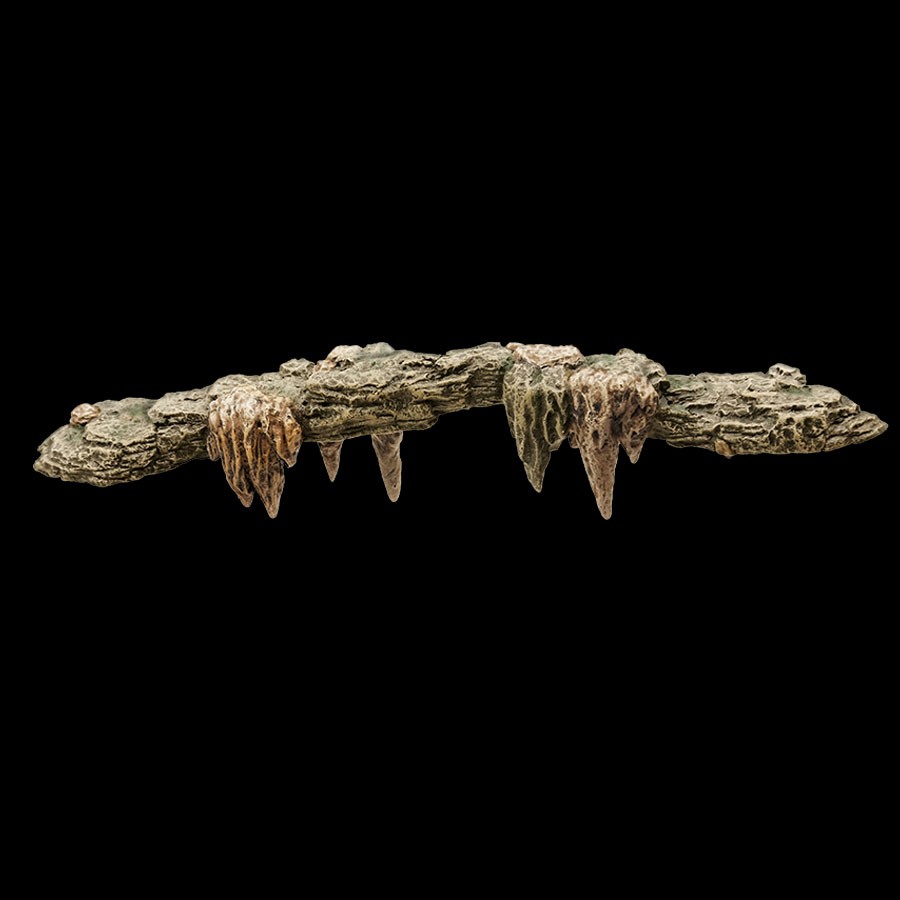 Natural Bridge 6-in. Extension