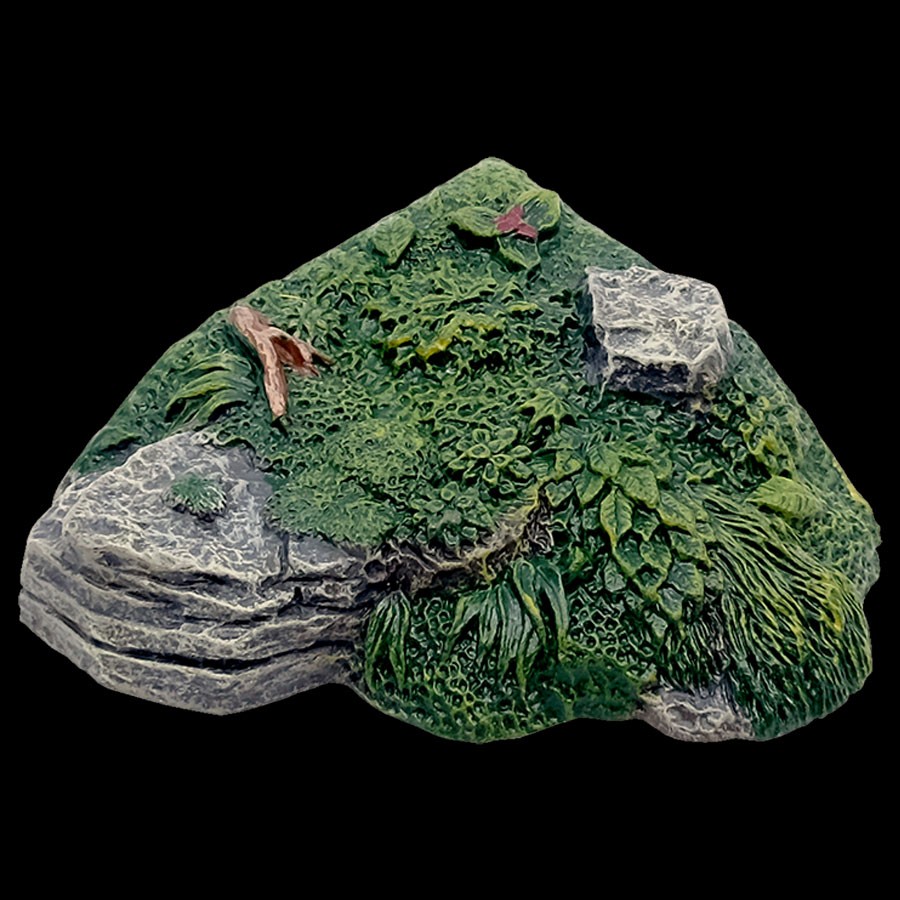 Short Convex Forest Bank