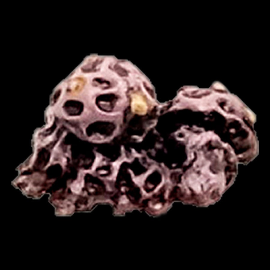 Tiny Mushroom Cluster