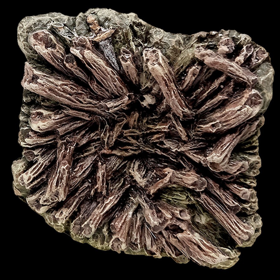 Monster Nest - Trapdoor Insert