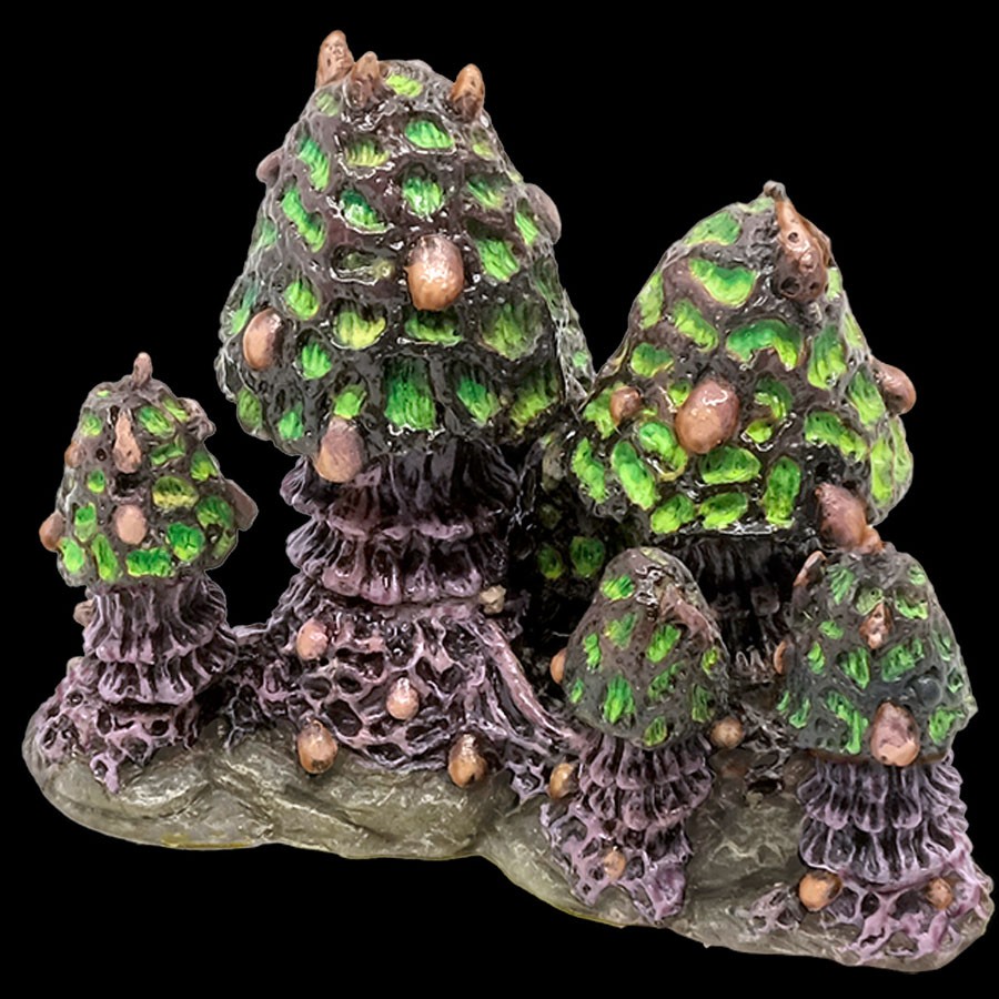 Large Vile Mushroom Cluster