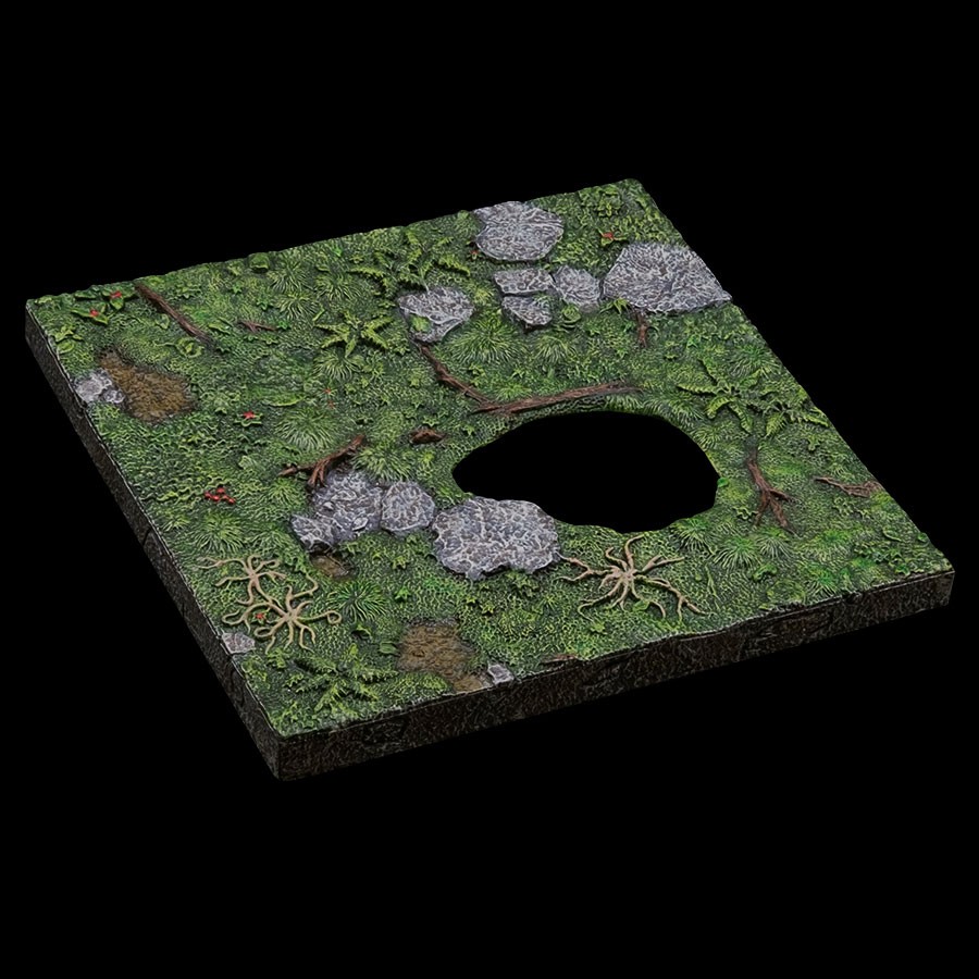6x6 Forest Floor - Clearing