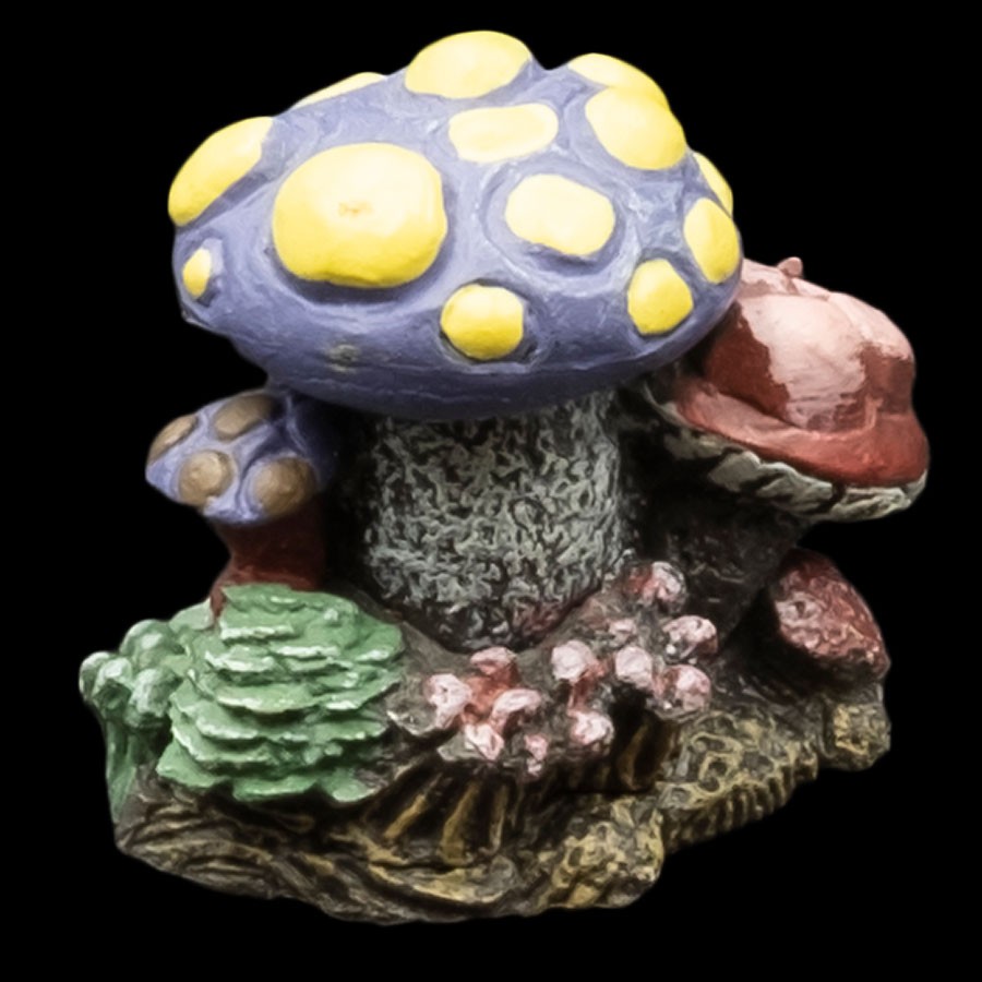 Medium Mushroom Cluster