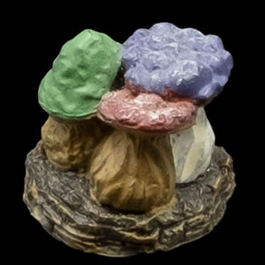 Small Mushroom Cluster