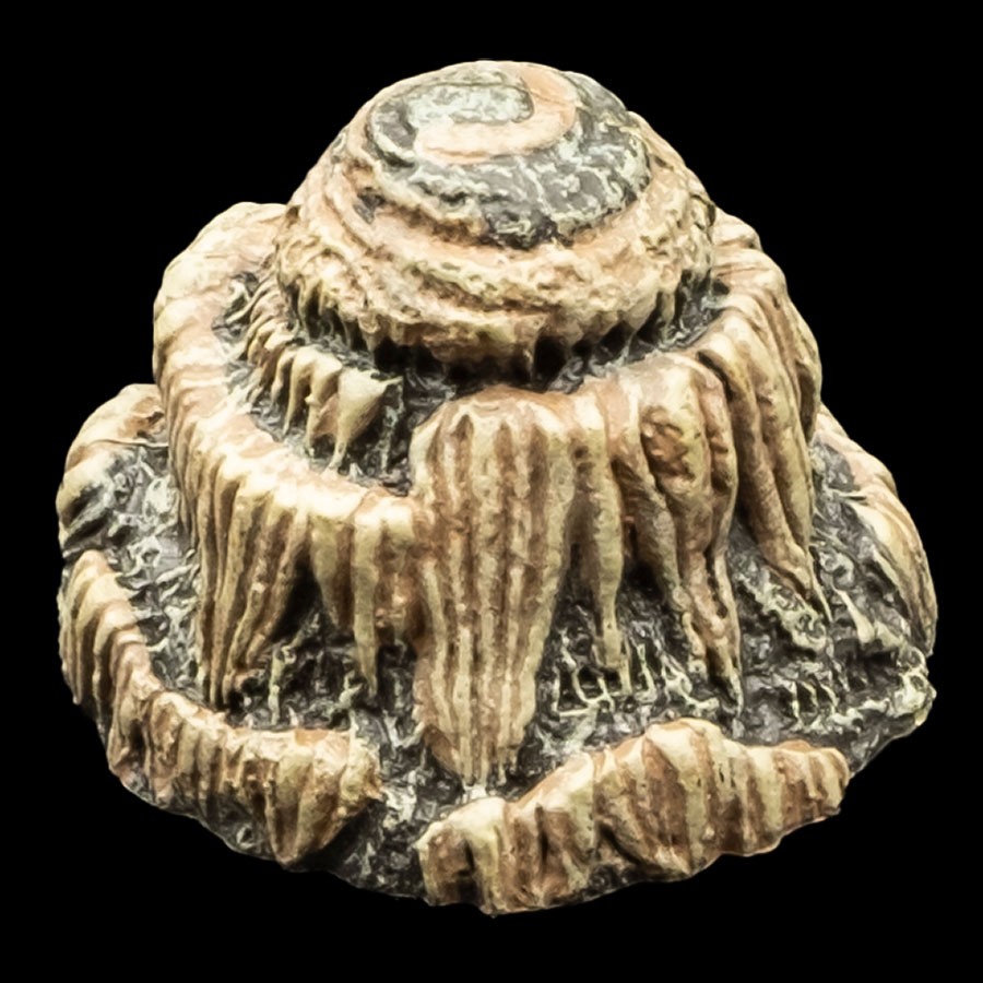 Wide Stalagmite