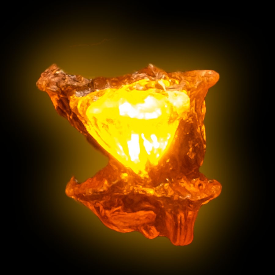 LED Glowing Wall Mushroom - Underdoom