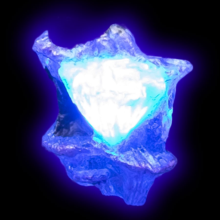 LED Glowing Wall Mushroom