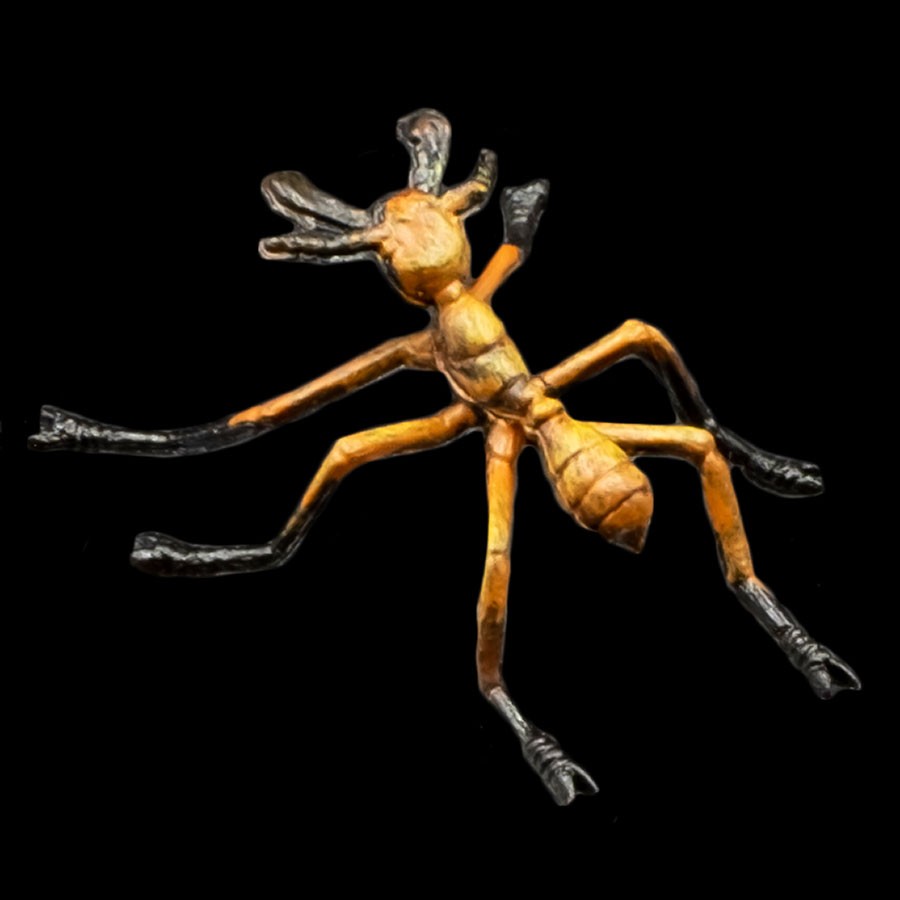 Fire Ant Worker