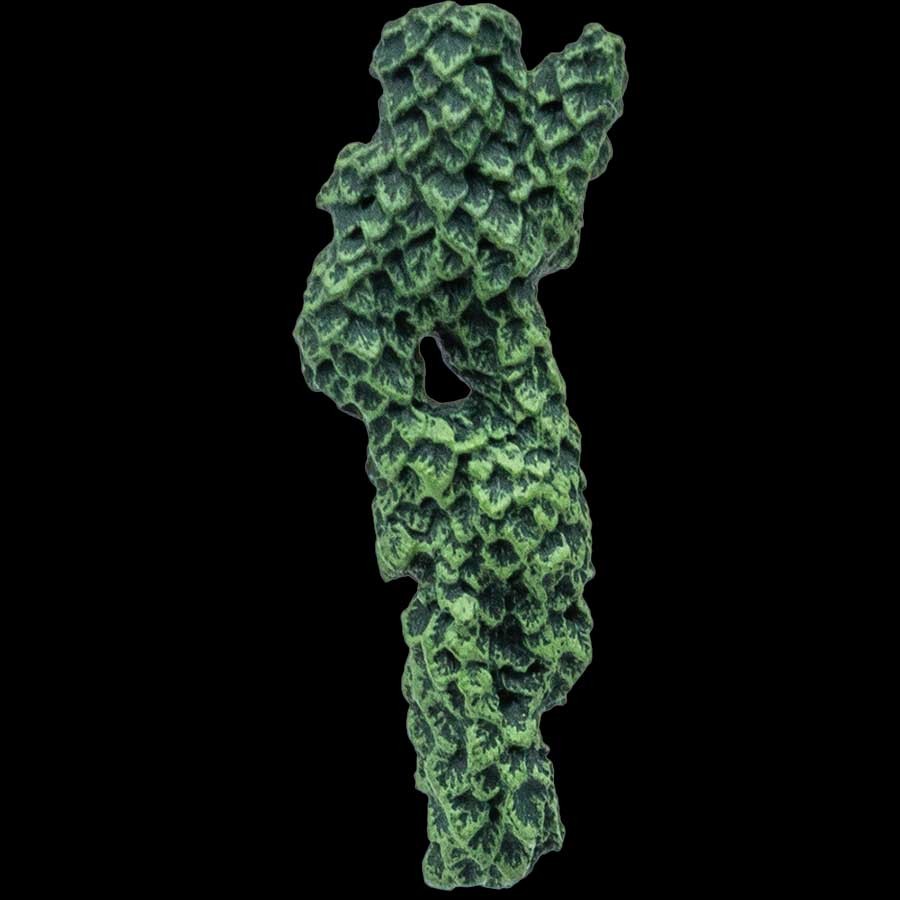 Growing Ivy - Post Façade