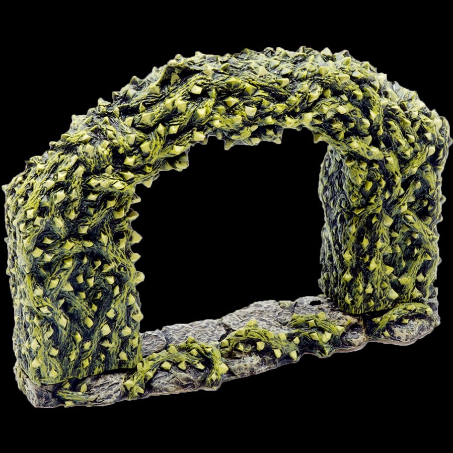Thorn Archway