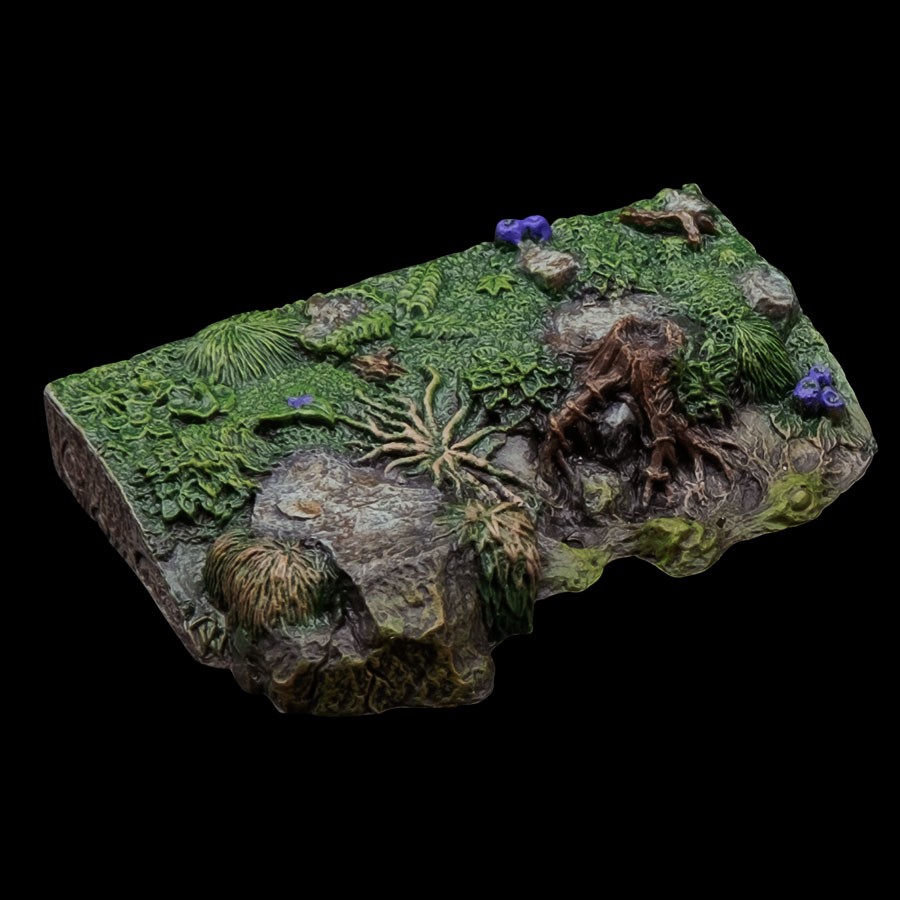 Short Straight Swamp Bank