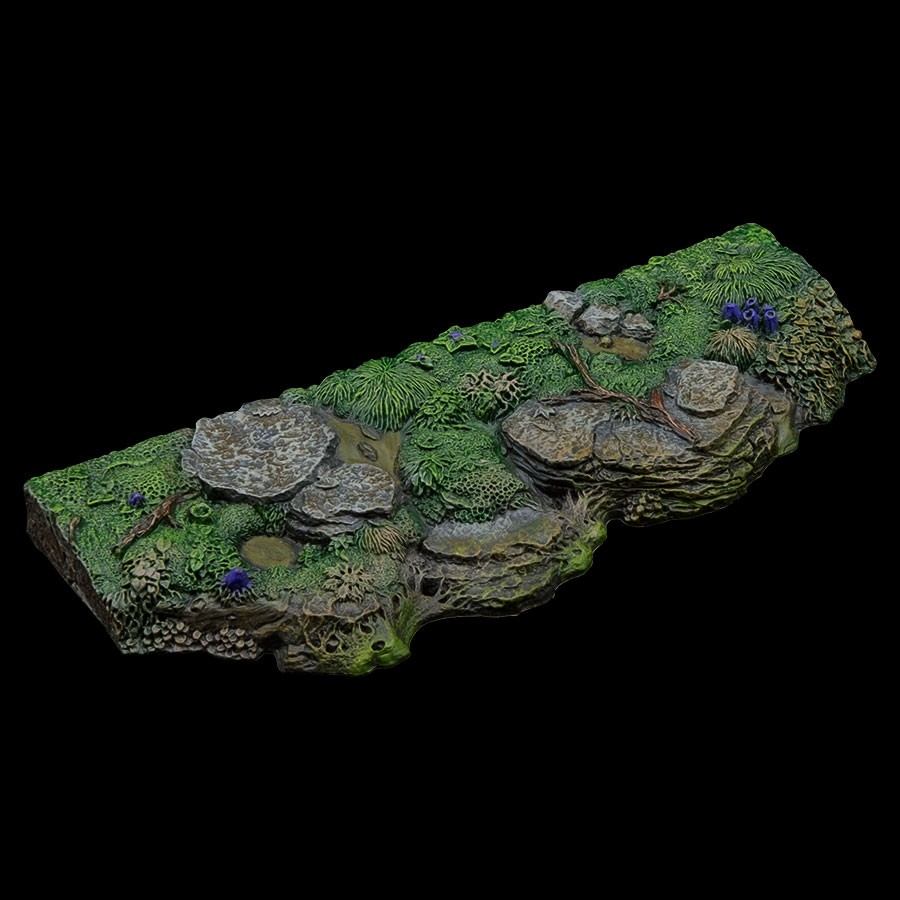 Straight Landing Swamp Bank