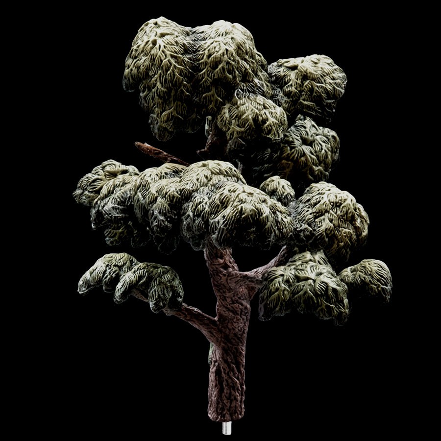 Cypress - Small Trunk