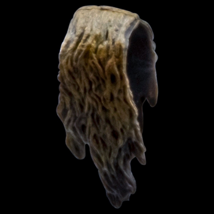 Flowering Moss - Hanger