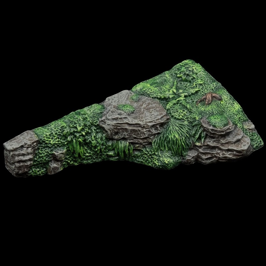 Forest Banks to Trifecta Transition - Left