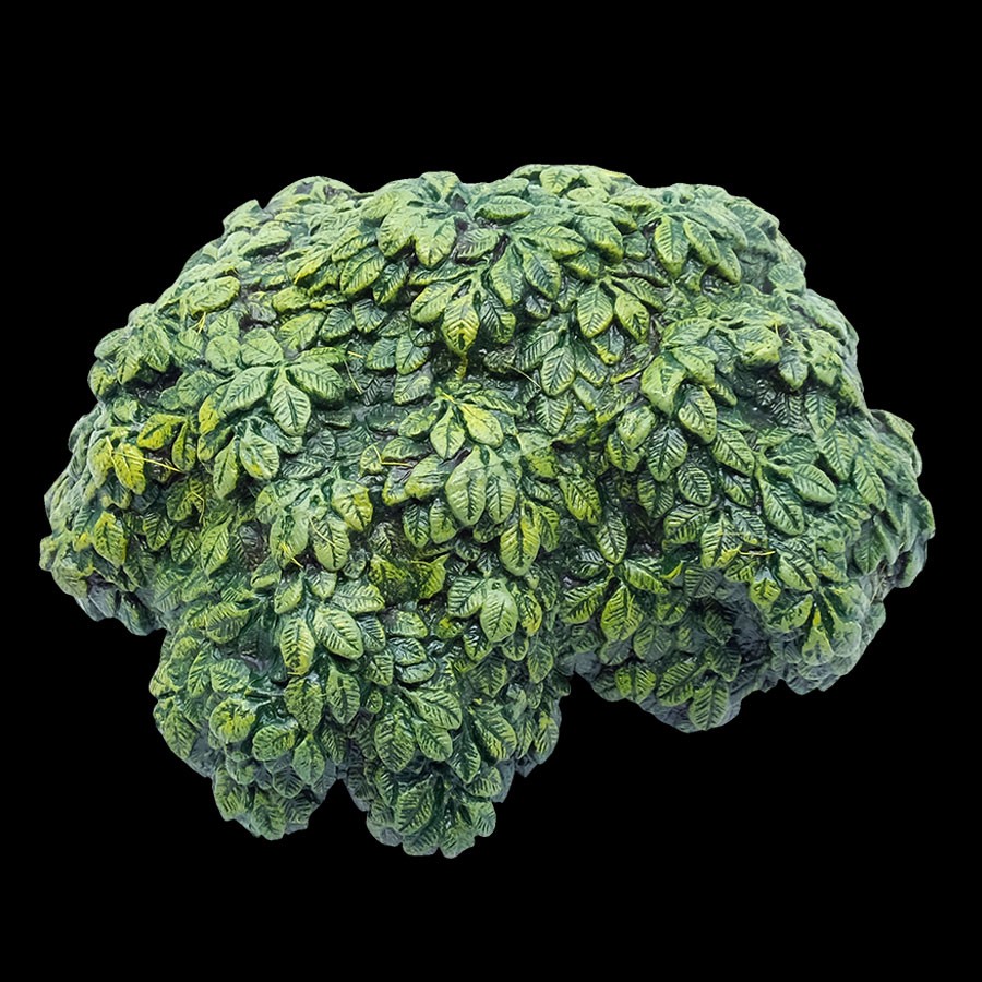 Hardwood Top - Large Trunk